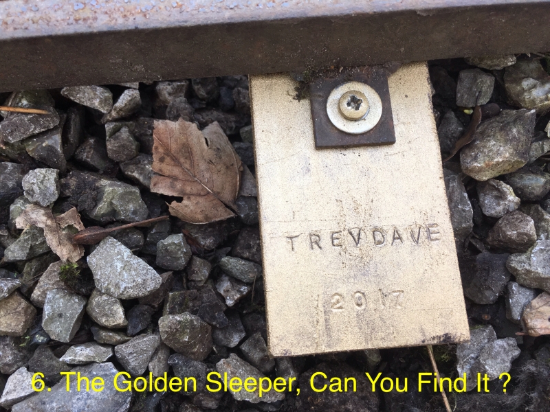 The Golden Sleeper - Can You Find It?